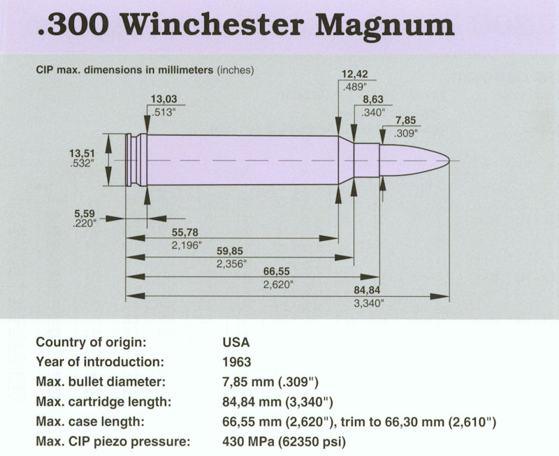 300 Winchester Magnum